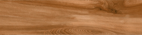 Gạch gỗ Ấn Độ (20x120cm)5402